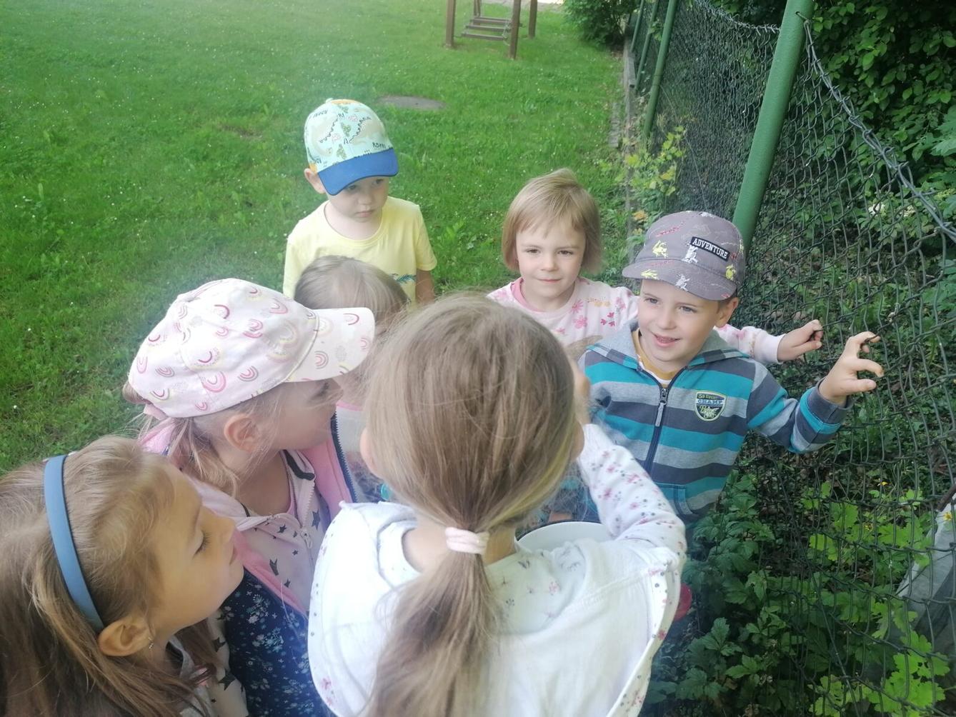 Tvořeníčko, tvoření: "Čím budu až vyrostu?" - vyrábíme bezovou šťávu :-) - 2