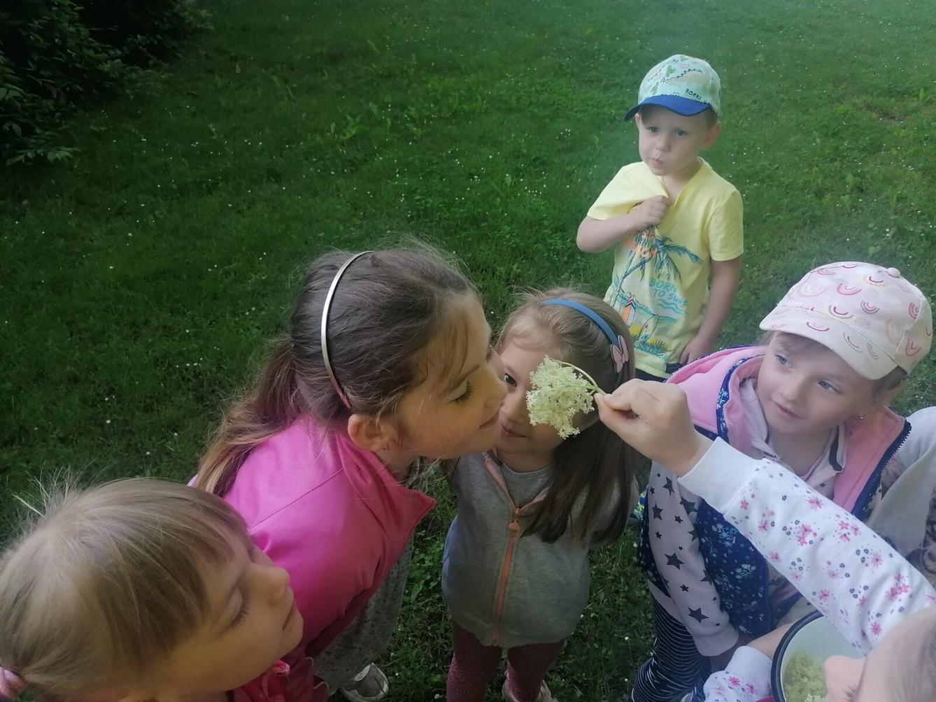 Tvořeníčko, tvoření: "Čím budu až vyrostu?" - vyrábíme bezovou šťávu :-) - 6