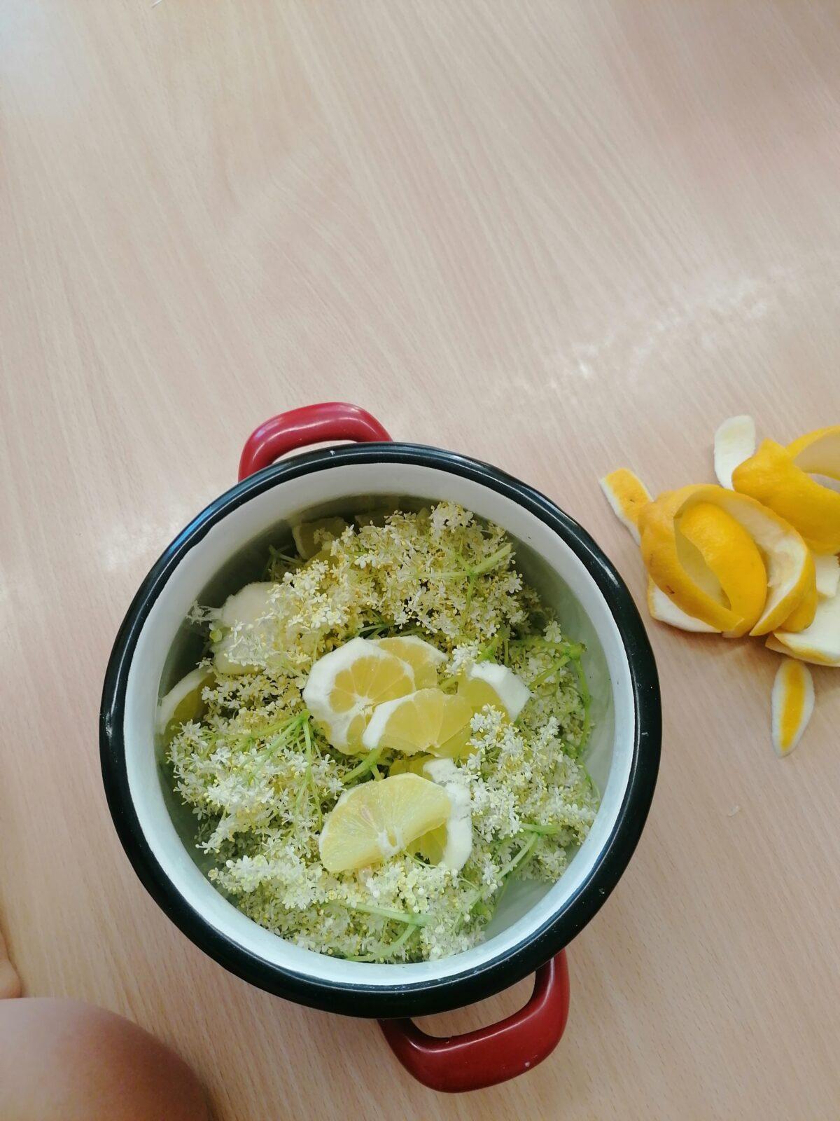 Tvořeníčko, tvoření: "Čím budu až vyrostu?" - vyrábíme bezovou šťávu :-) - 23