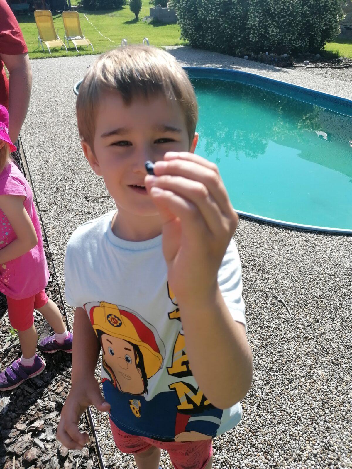 Tvořeníčko, tvoření: "Čím budu až vyrostu?"; zahradníci :-) - 23