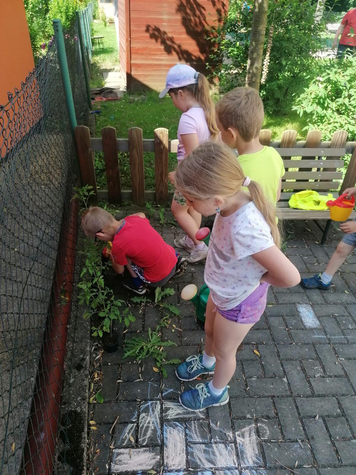 Tvořeníčko, tvoření: "Čím budu až vyrostu?"; zahradníci :-) - 28