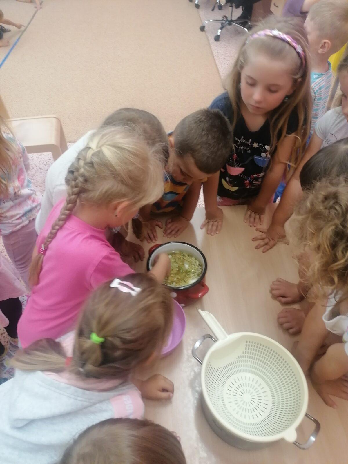 Tvořeníčko, tvoření: "Čím budu až vyrostu?" - vyrábíme bezovou šťávu :-) - 37