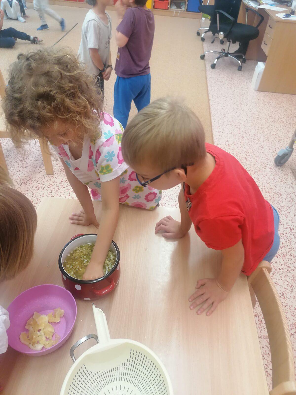 Tvořeníčko, tvoření: "Čím budu až vyrostu?" - vyrábíme bezovou šťávu :-) - 44