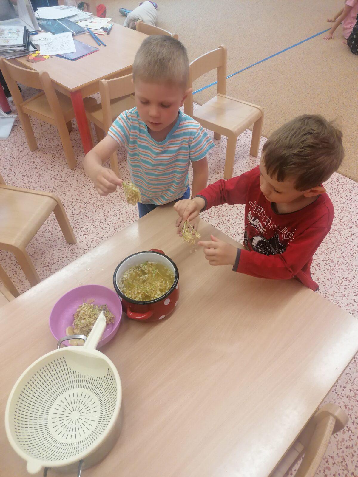 Tvořeníčko, tvoření: "Čím budu až vyrostu?" - vyrábíme bezovou šťávu :-) - 50