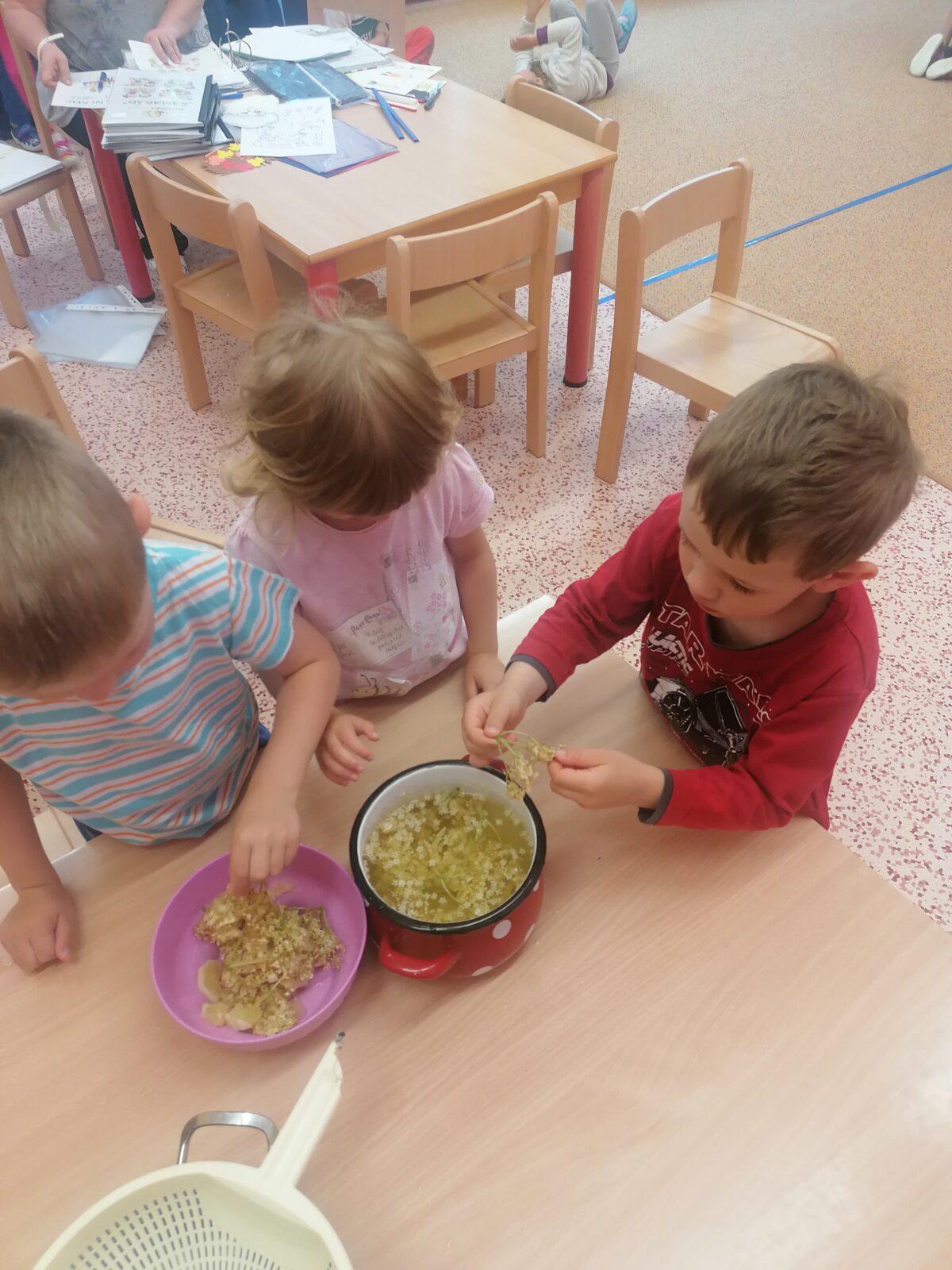 Tvořeníčko, tvoření: "Čím budu až vyrostu?" - vyrábíme bezovou šťávu :-) - 51