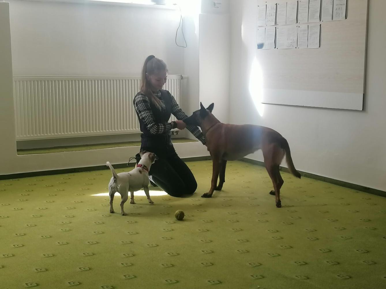 Projektový den v MŠ: "AGILITY" :-) - 2