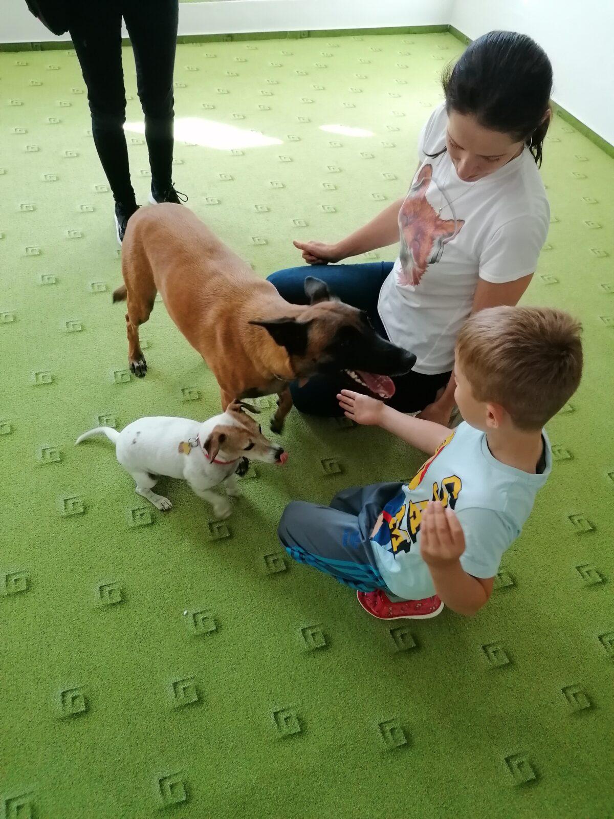 Projektový den v MŠ: "AGILITY" :-) - 11