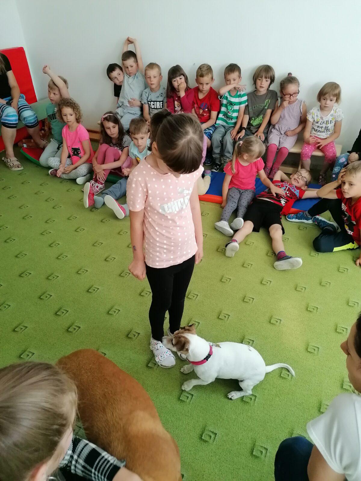 Projektový den v MŠ: "AGILITY" :-) - 20