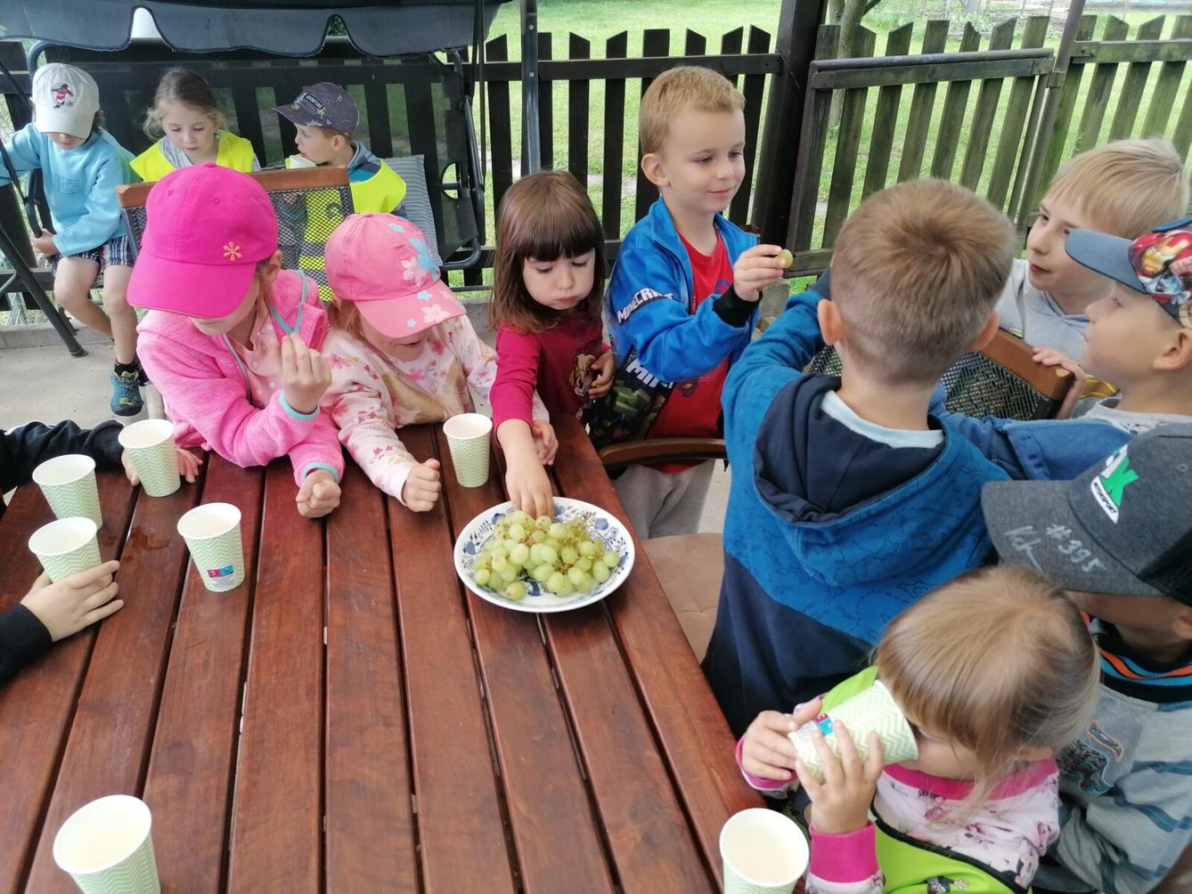 Projektový den v MŠ: "AGILITY" :-) - 39