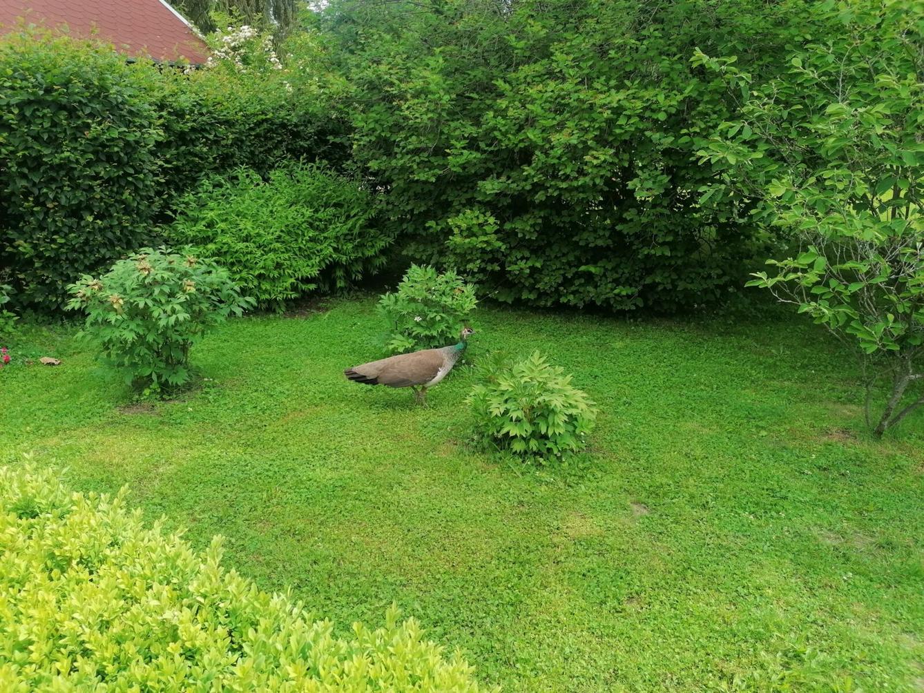 Výlet do Častolovic I. :-) - 33