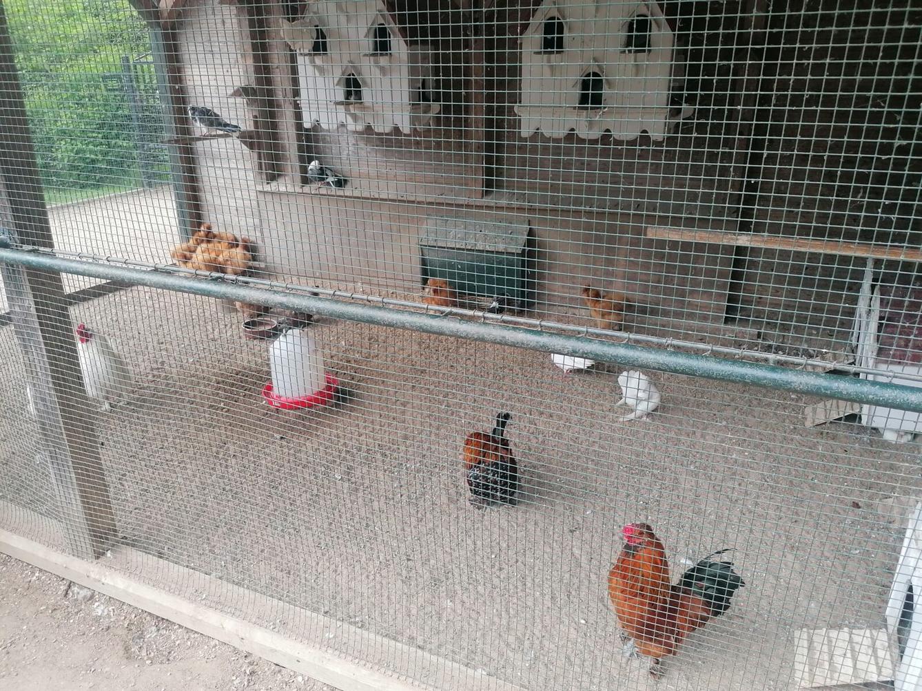 Výlet do Častolovic I. :-) - 35