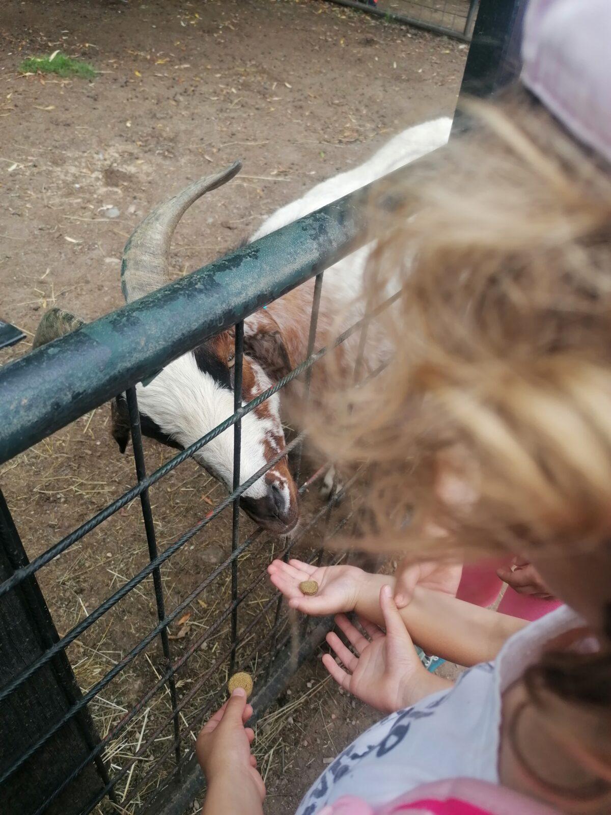 Výlet do Častolovic I. :-) - 38