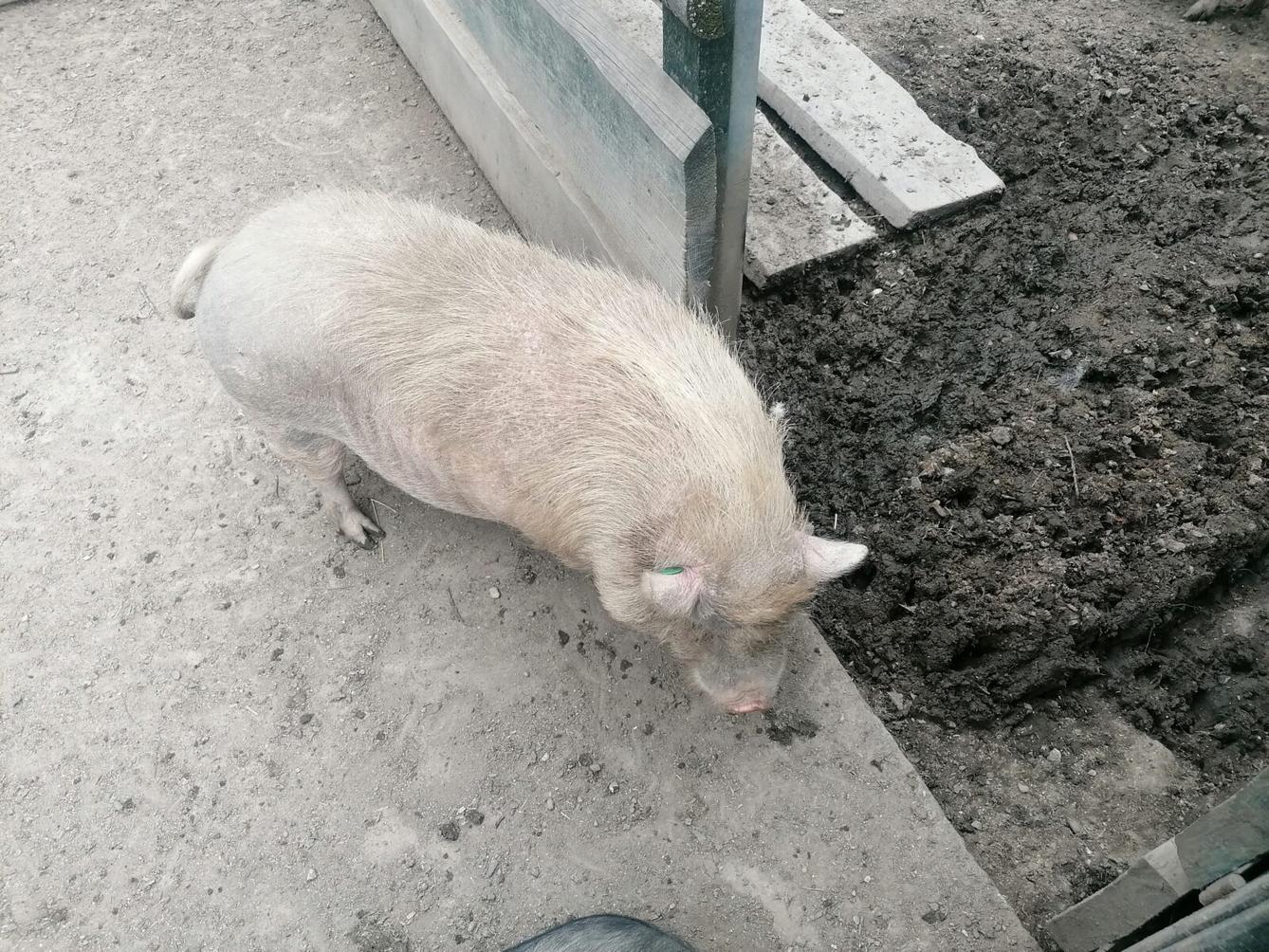 Výlet do Častolovic I. :-) - 41