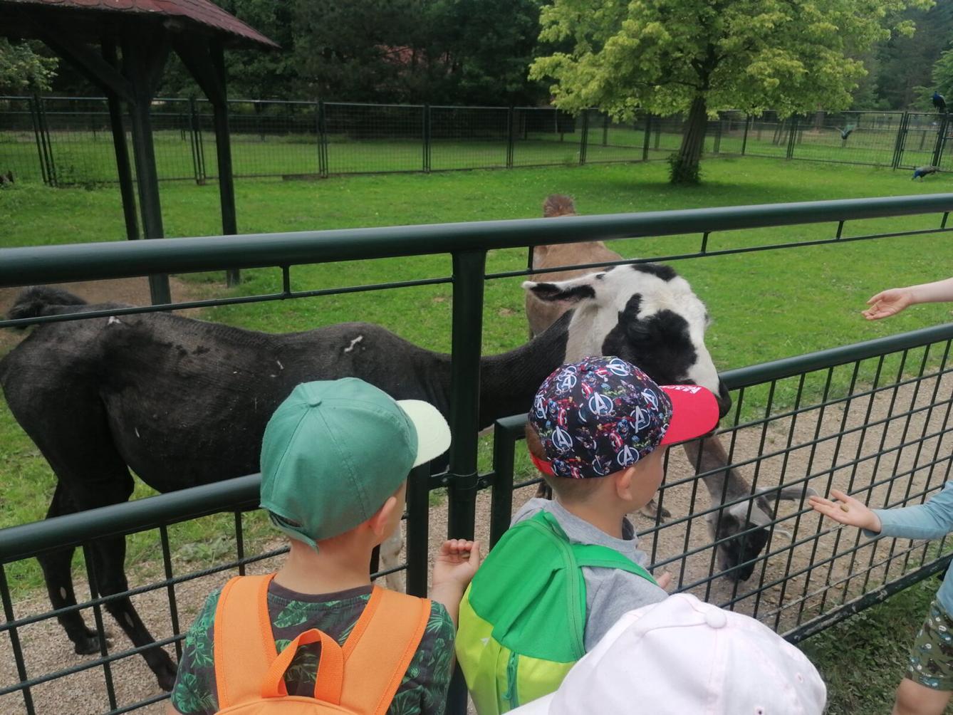 Výlet do Častolovic I. :-) - 44