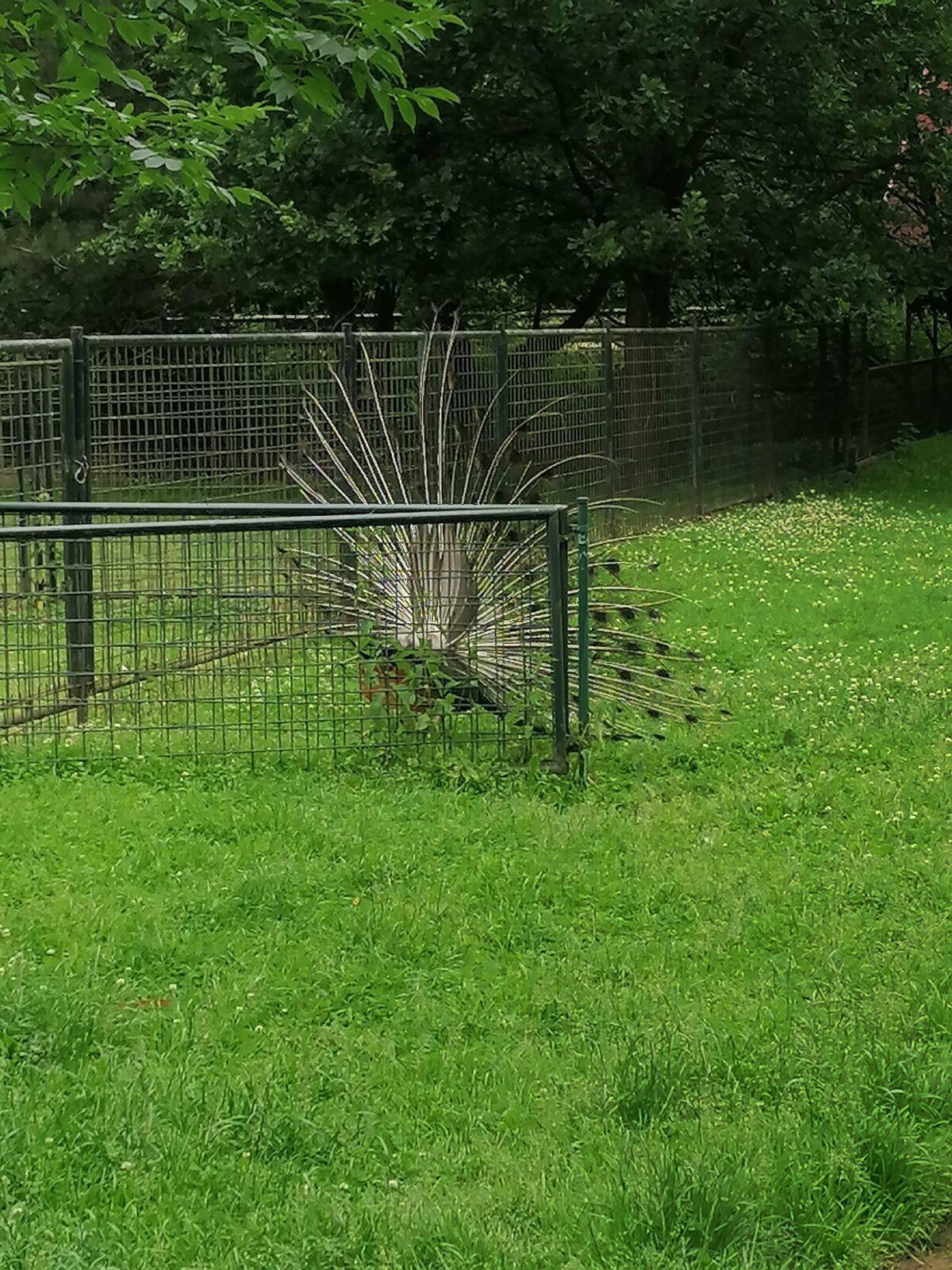 Výlet do Častolovic I. :-) - 47