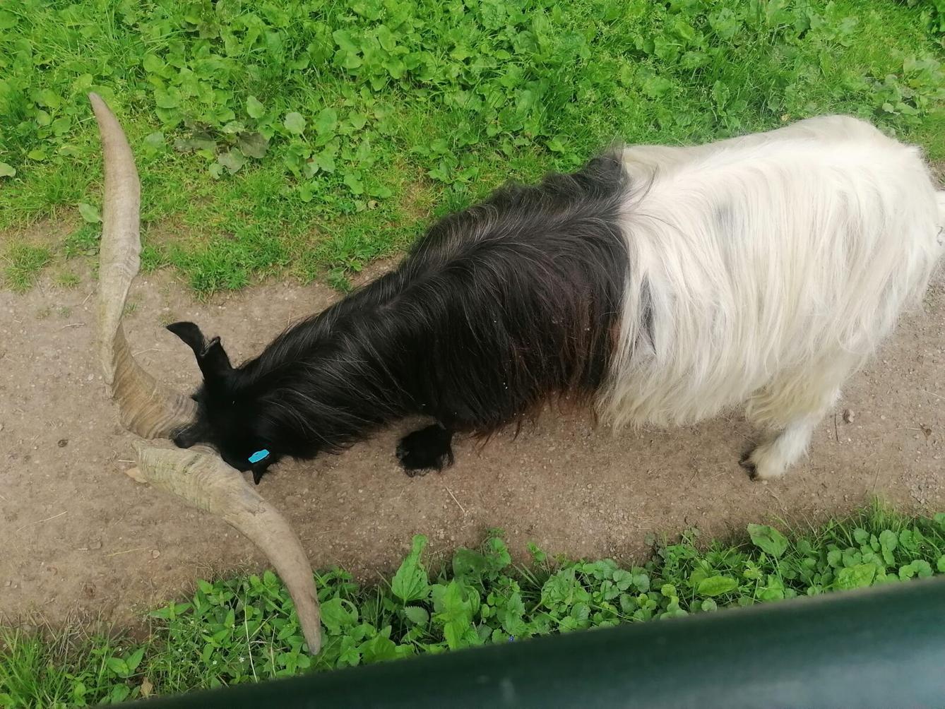 Výlet do Častolovic I. :-) - 48