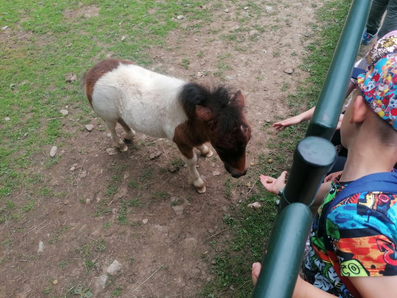 Výlet do Častolovic I. :-) - 51