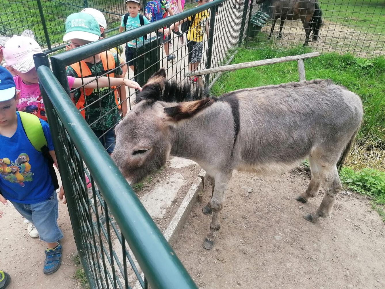 Výlet do Častolovic I. :-) - 56