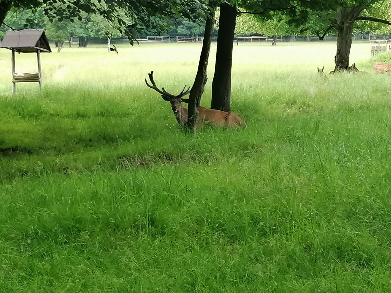 Výlet do Častolovic I. :-) - 59
