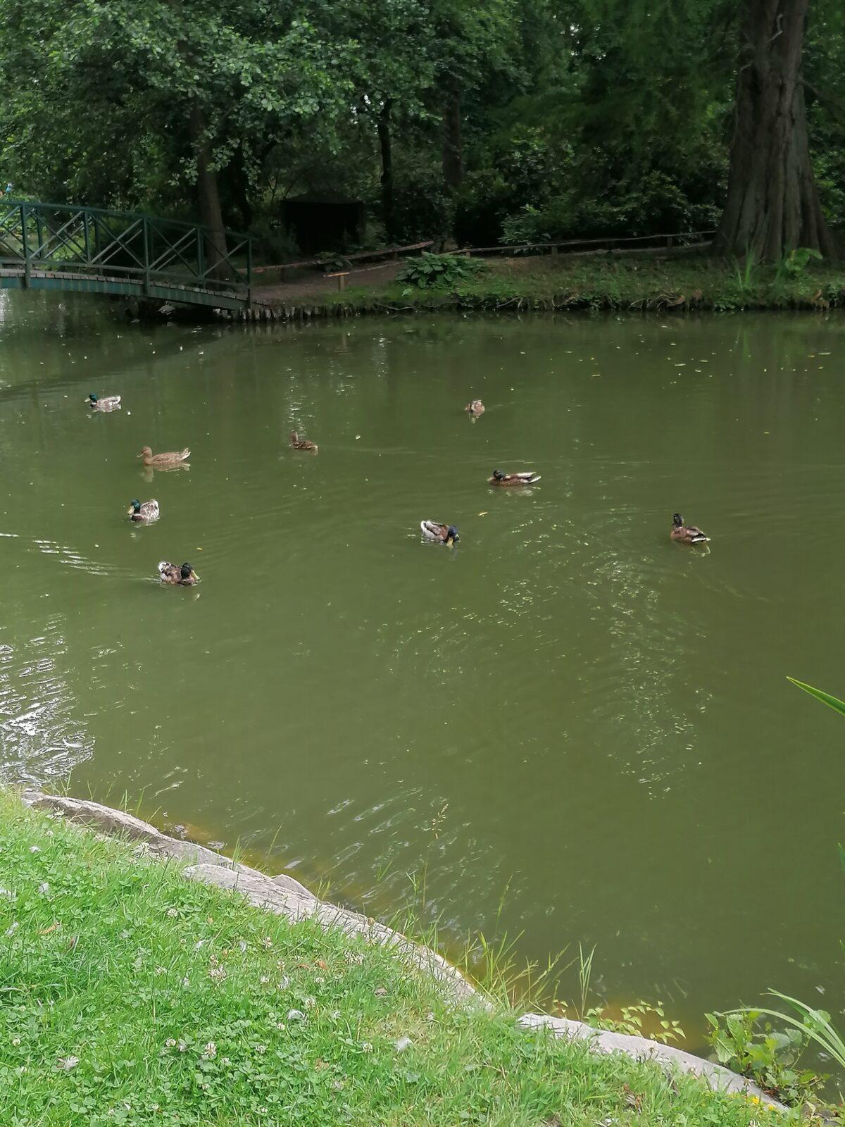 Výlet do Častolovic II. :-) - 23