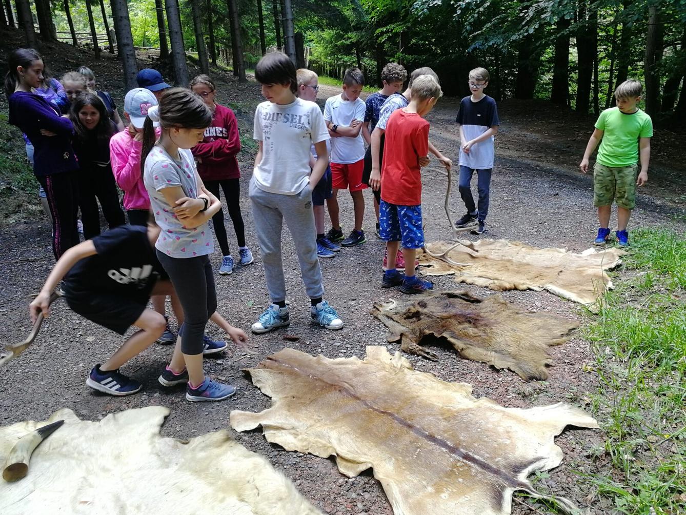 Dějepisná exkurze do pravěku - 6. A - 7