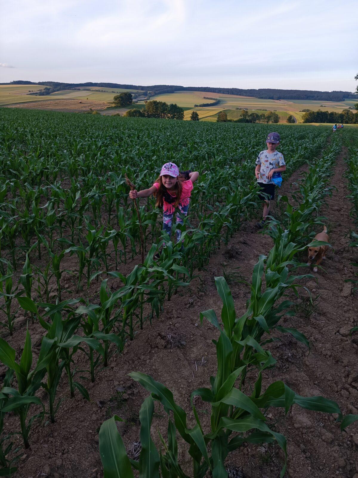 TLAPKY - spaní ve škole - 41