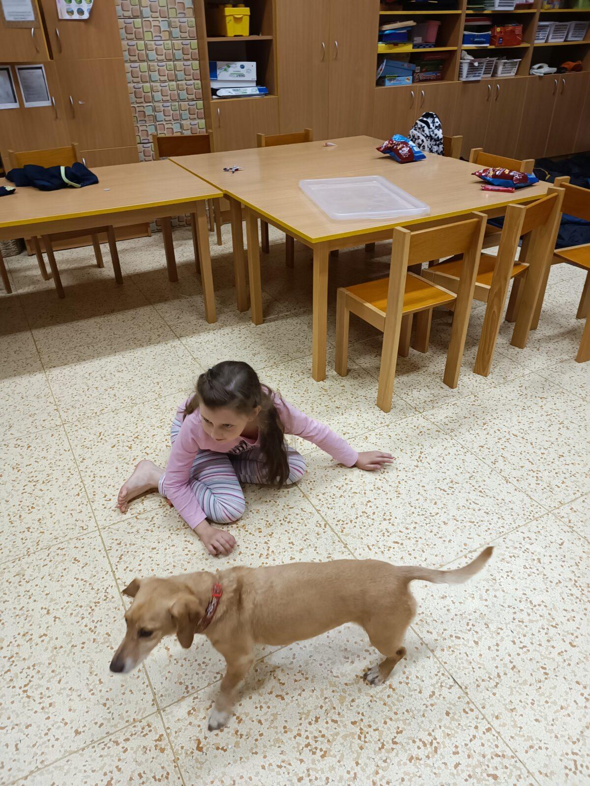 TLAPKY - spaní ve škole - 64