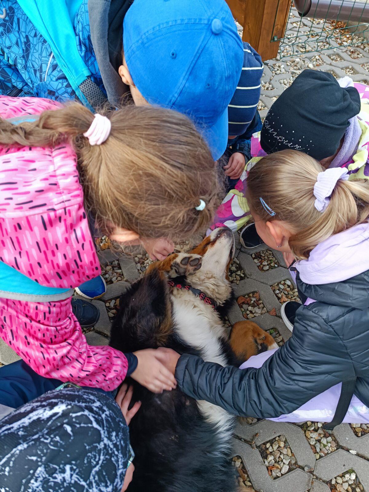 TLAPKY 2 - 1. výprava - 24