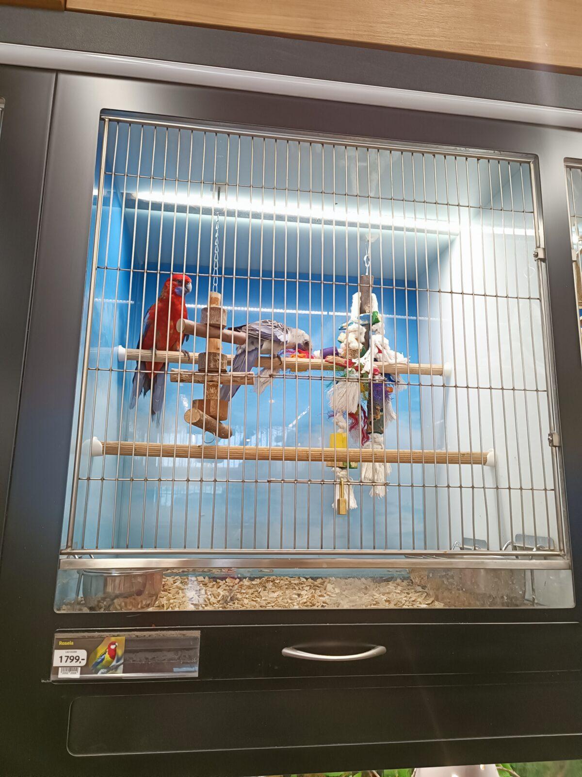 TLAPKY 2 - 1. výprava - 67