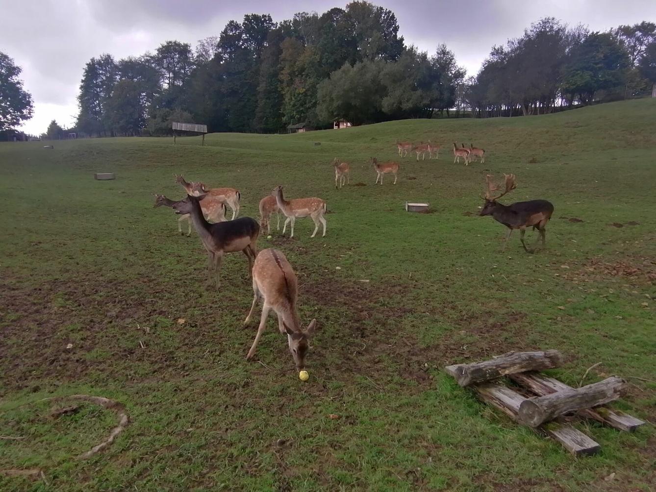 Broučci a jejich vycházky :-) - 13