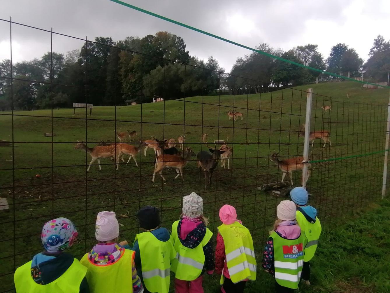 Broučci a jejich vycházky :-) - 14