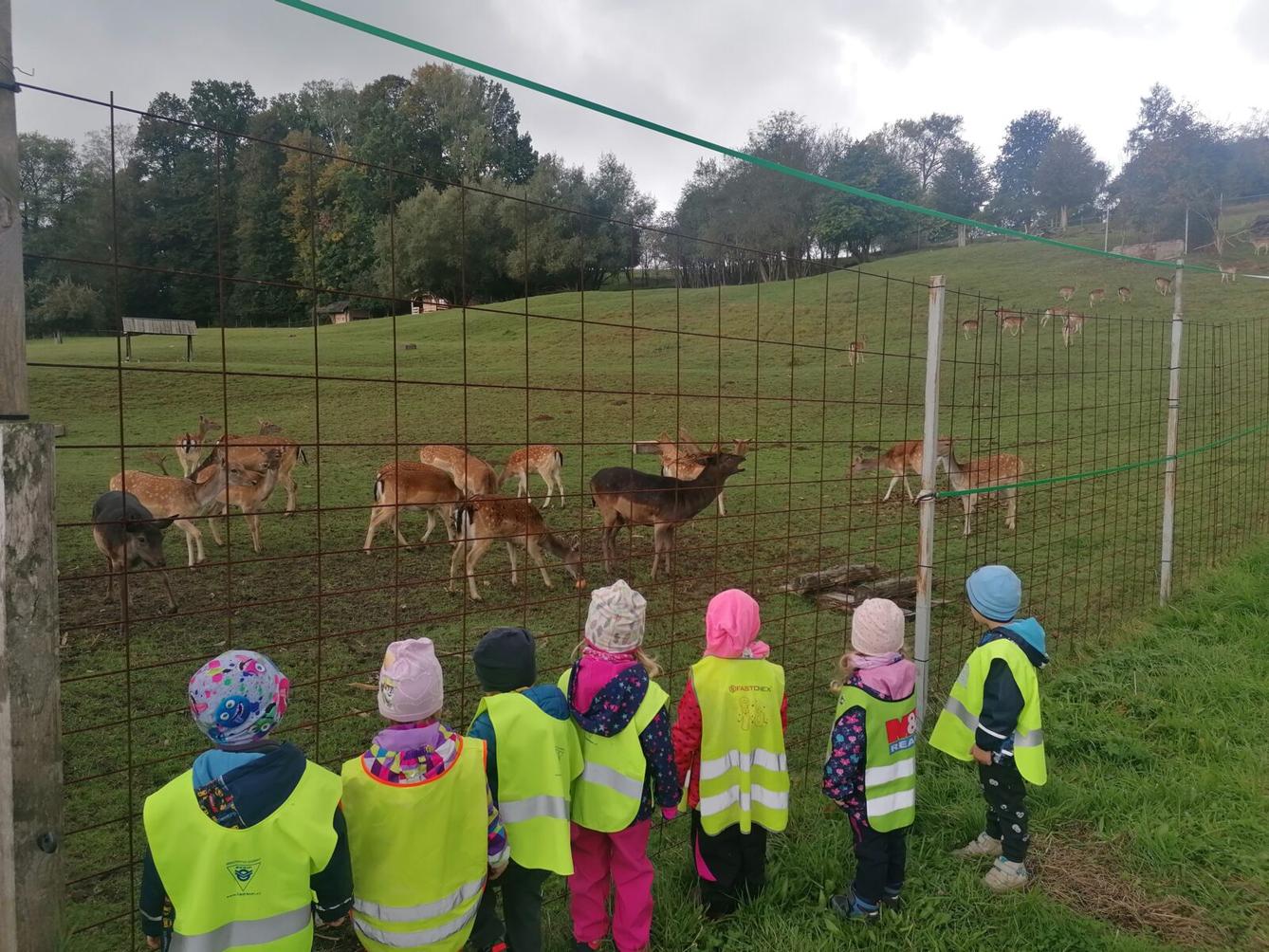 Broučci a jejich vycházky :-) - 15