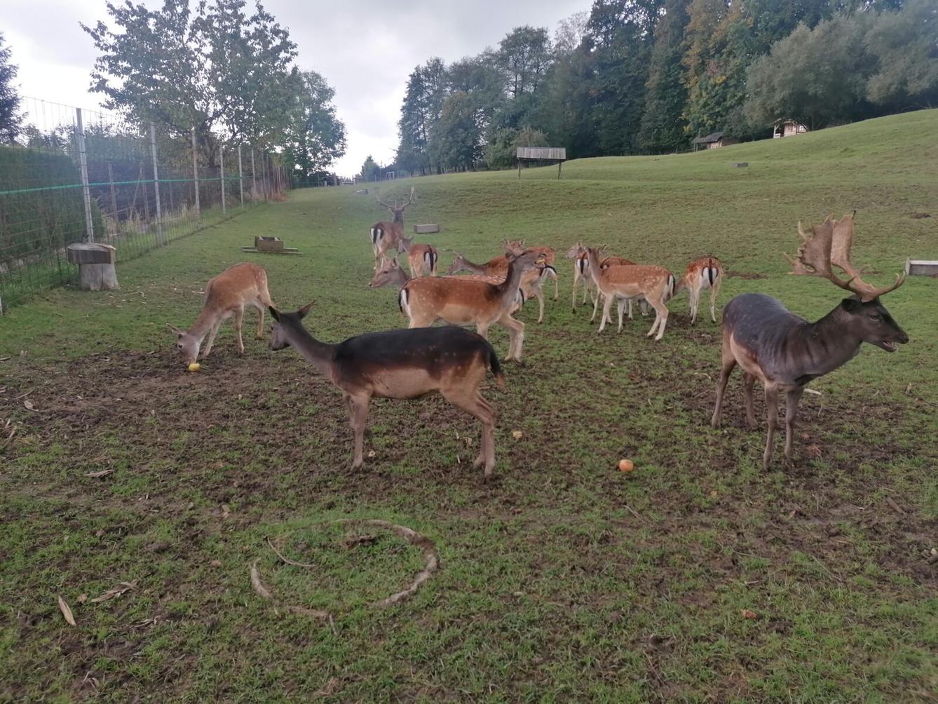 Broučci a jejich vycházky :-) - 17