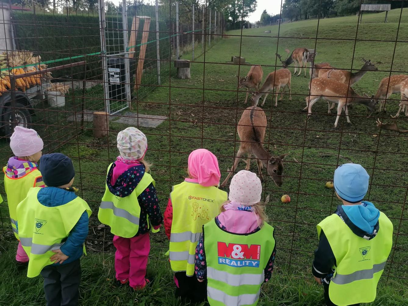Broučci a jejich vycházky :-) - 19