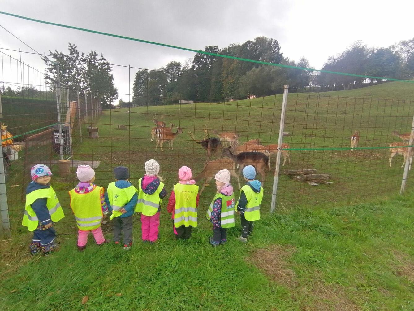 Broučci a jejich vycházky :-) - 20