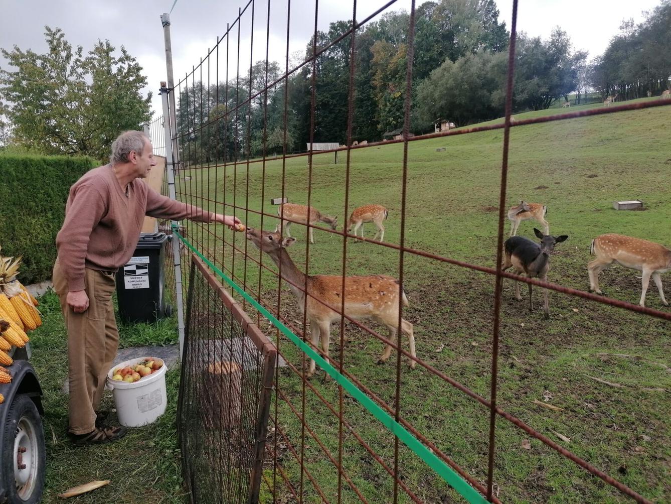Broučci a jejich vycházky :-) - 21