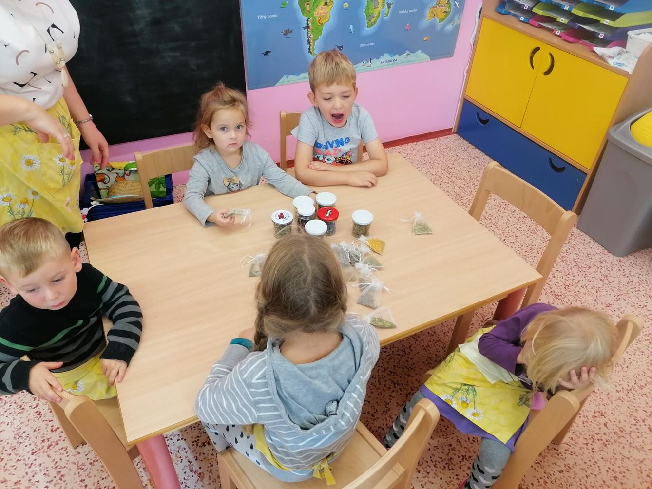 Vzdělávací program "bylinky" :-) - 29