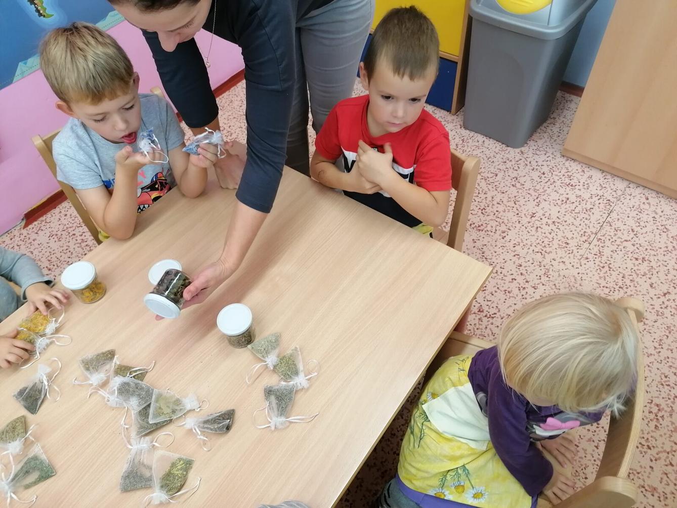 Vzdělávací program "bylinky" :-) - 31