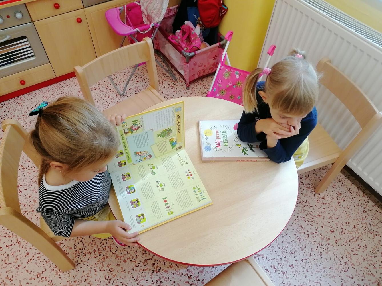 Vzdělávací program "bylinky" :-) - 35