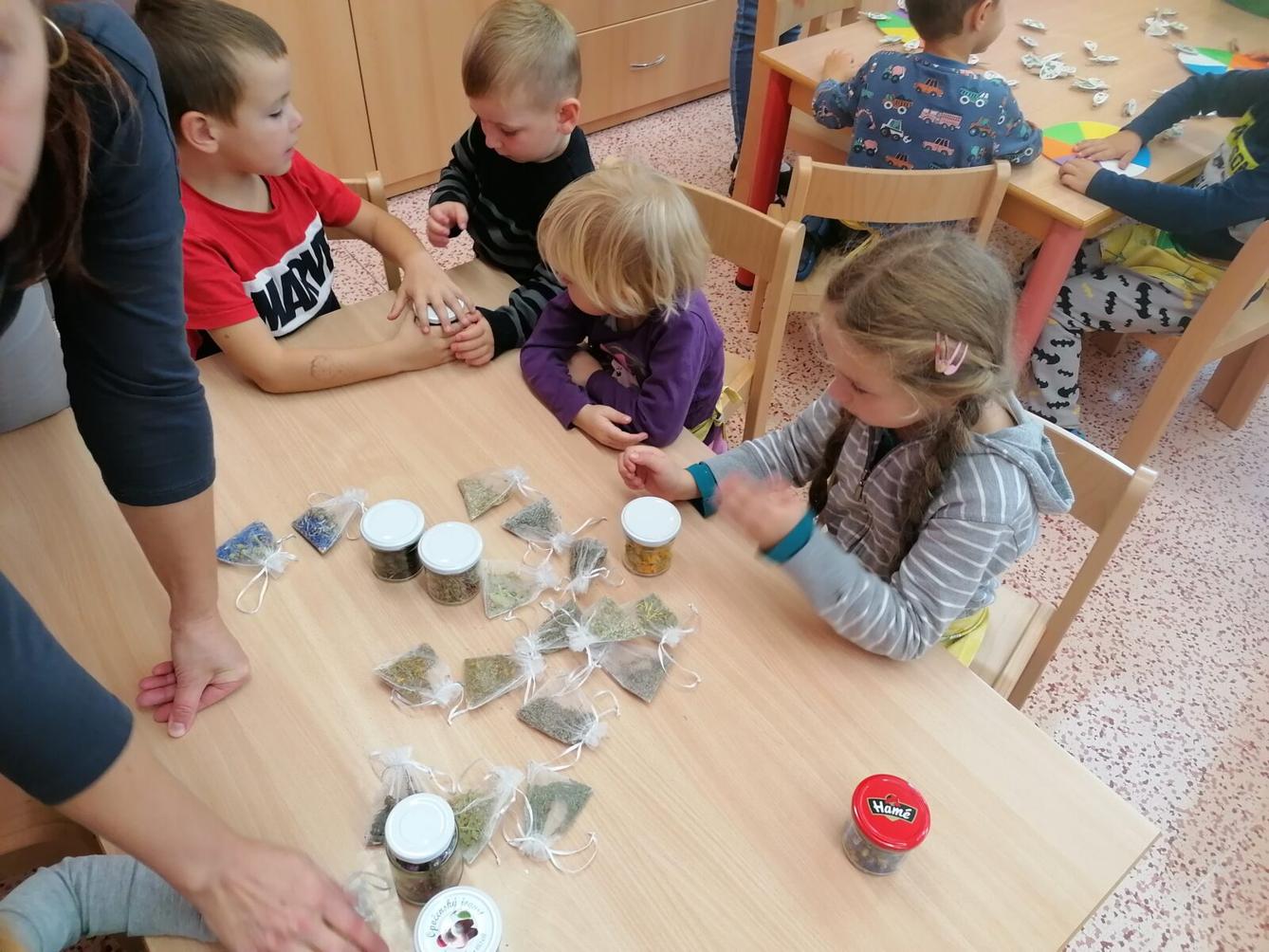 Vzdělávací program "bylinky" :-) - 39