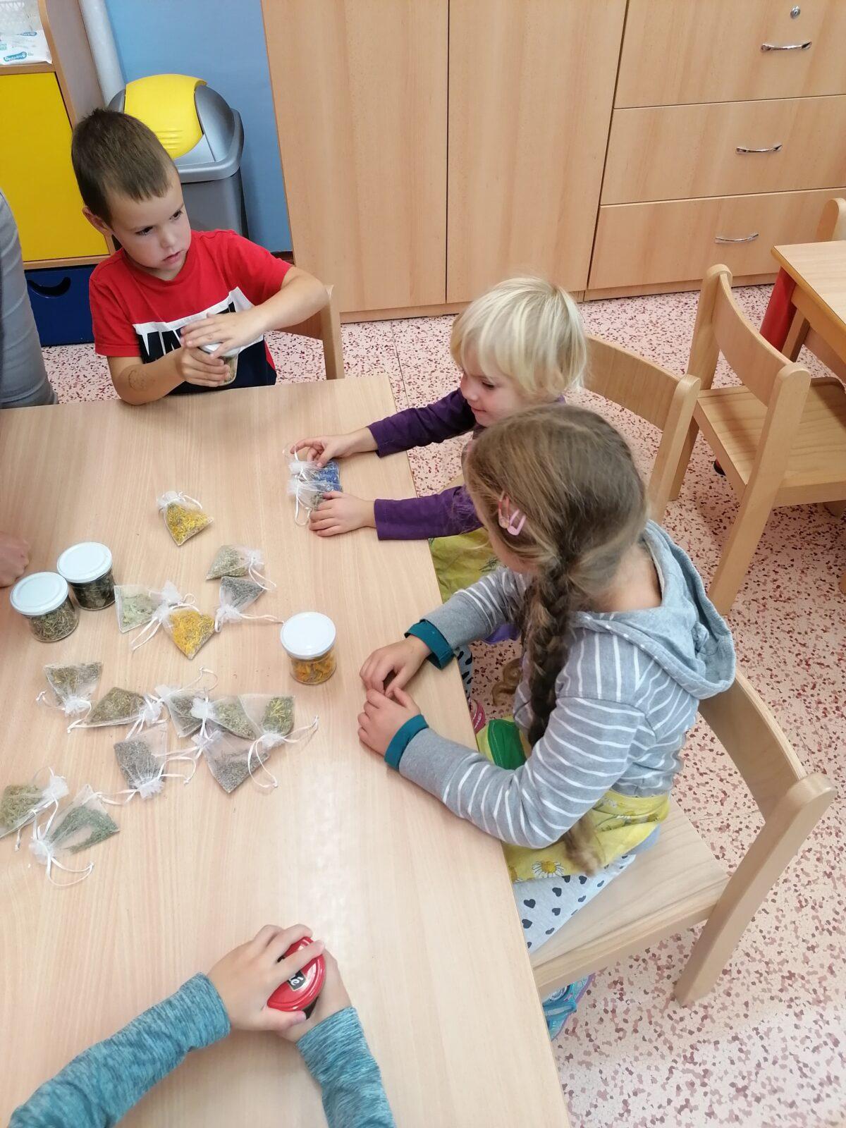 Vzdělávací program "bylinky" :-) - 43