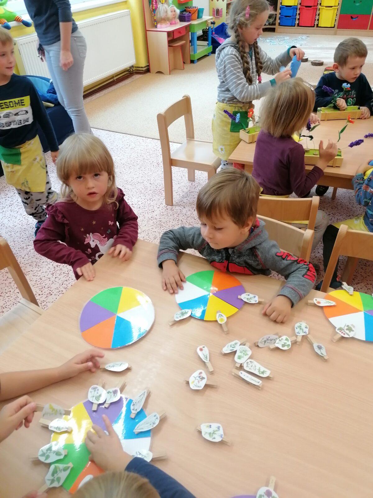 Vzdělávací program "bylinky" :-) - 55