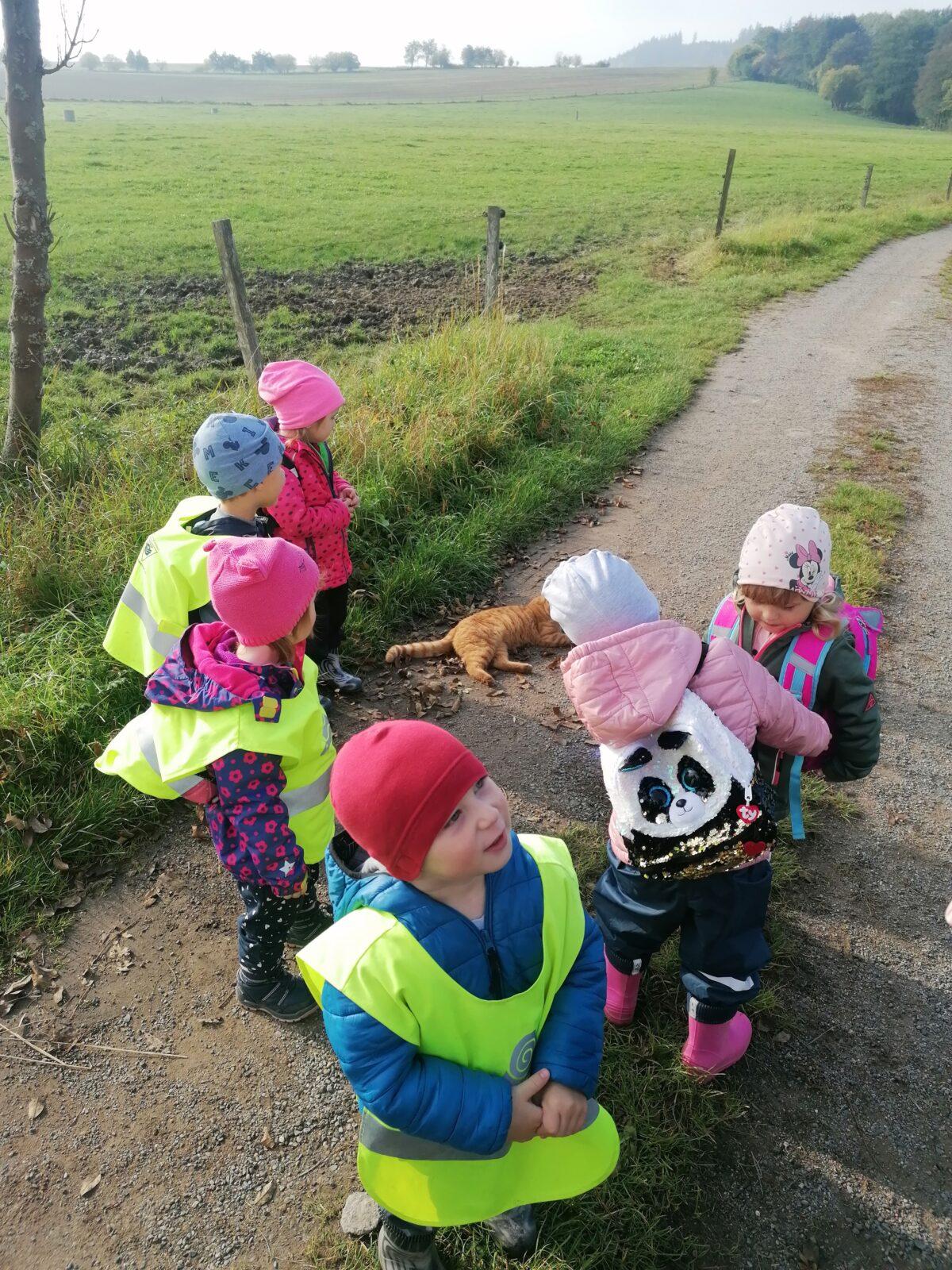 "Krteček nám schoval poklad" :-) - 12