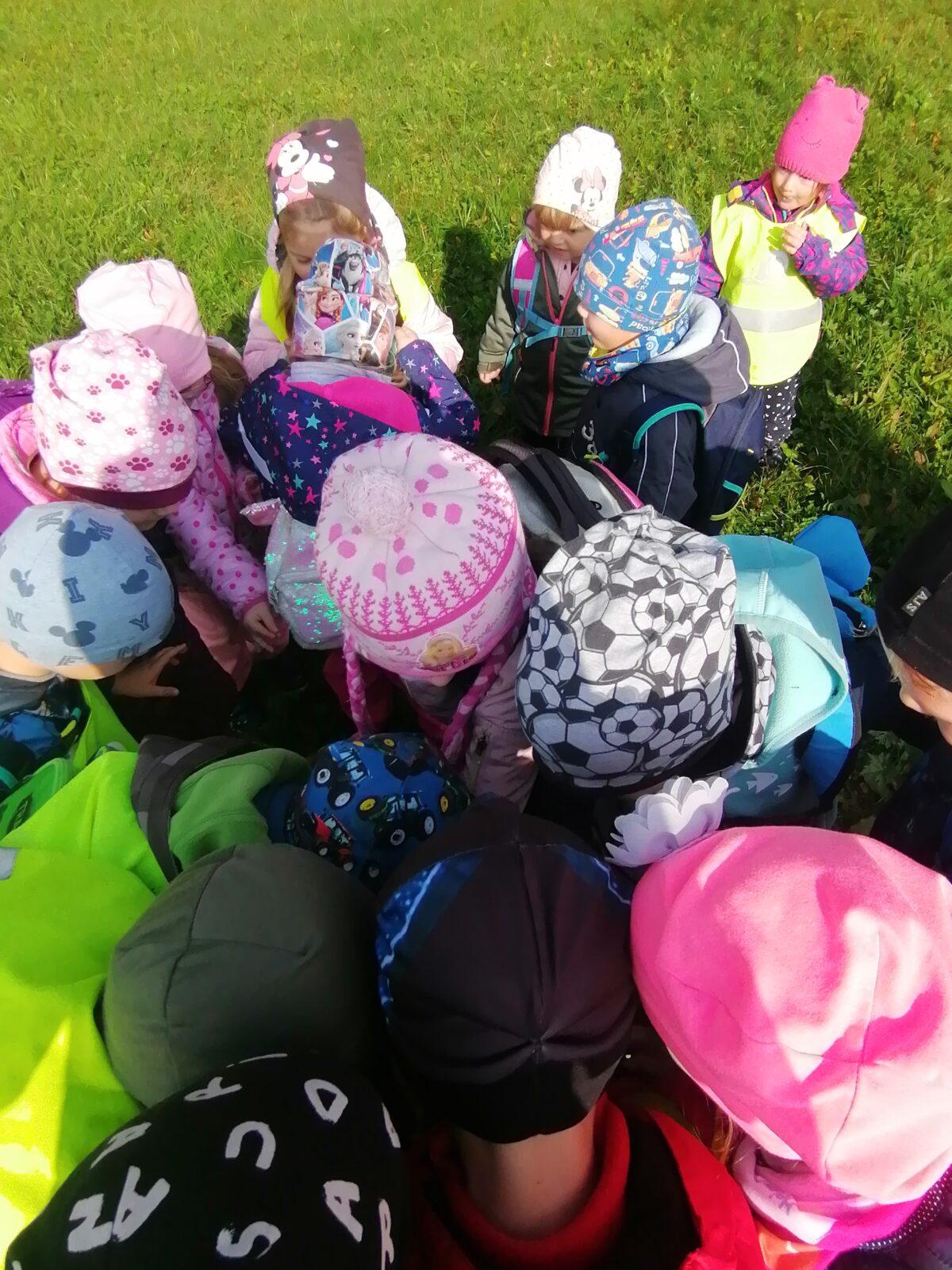 "Krteček nám schoval poklad" :-) - 19