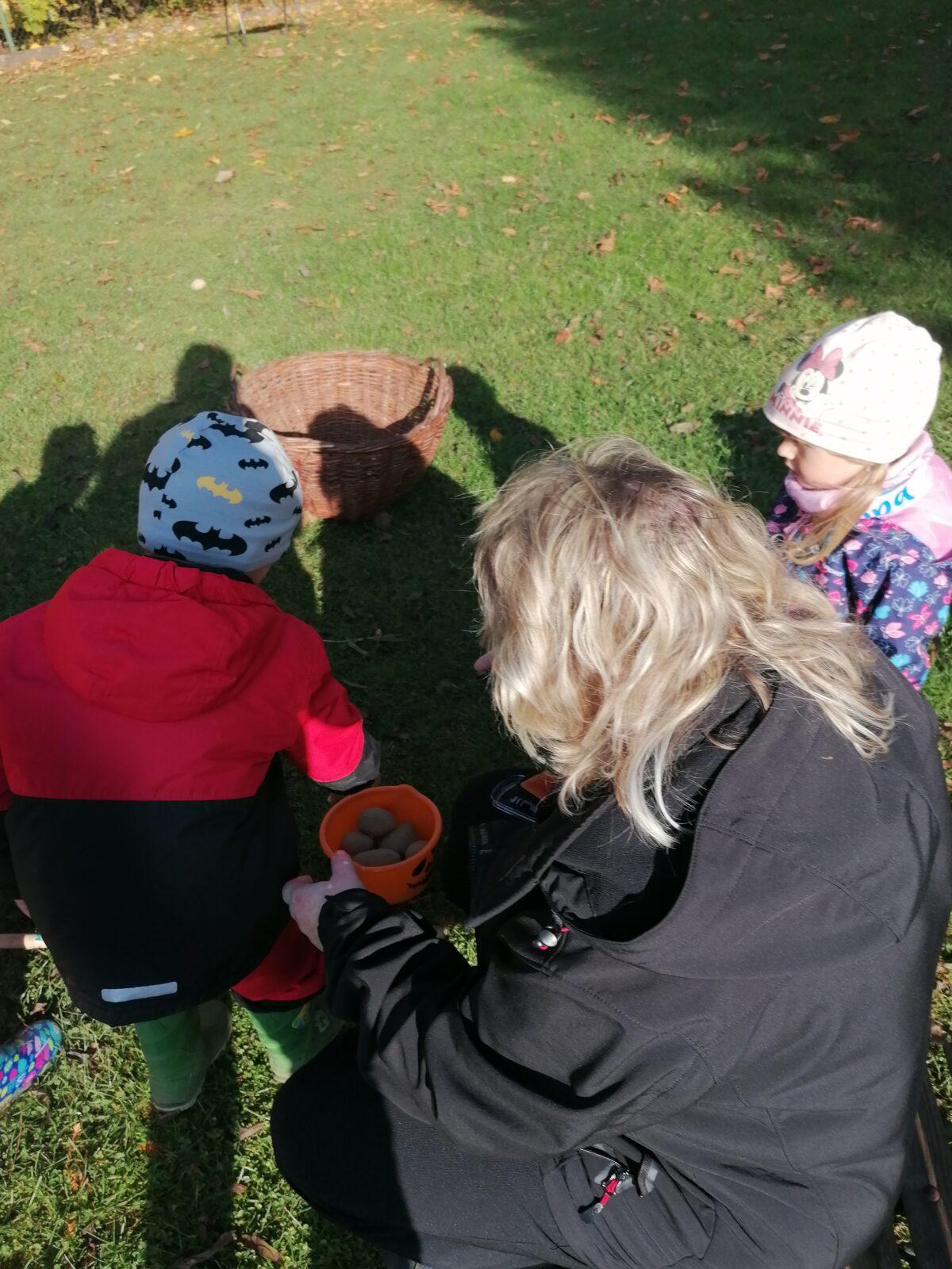 "Bramboriáda" :-) - 37