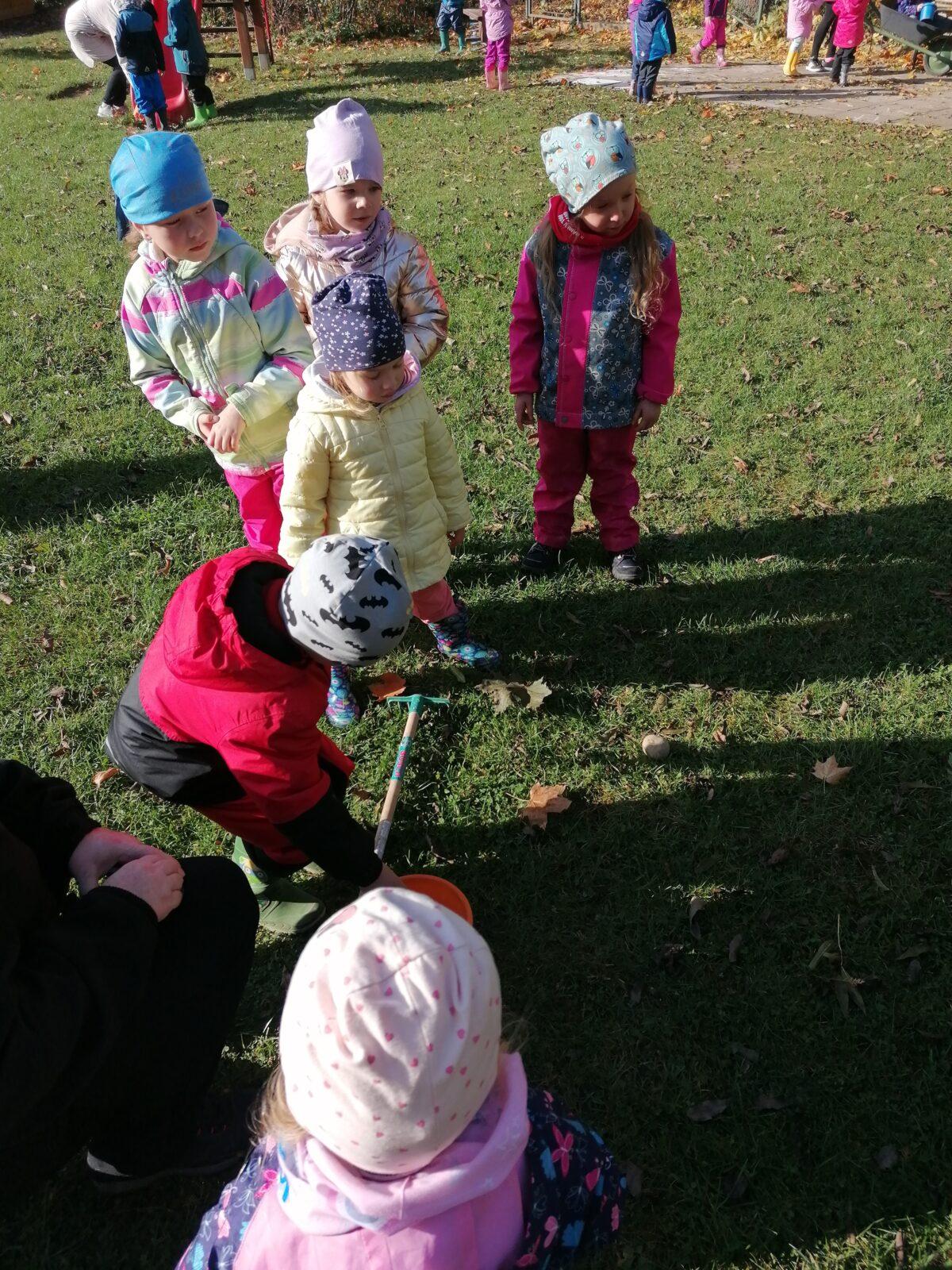 "Bramboriáda" :-) - 38