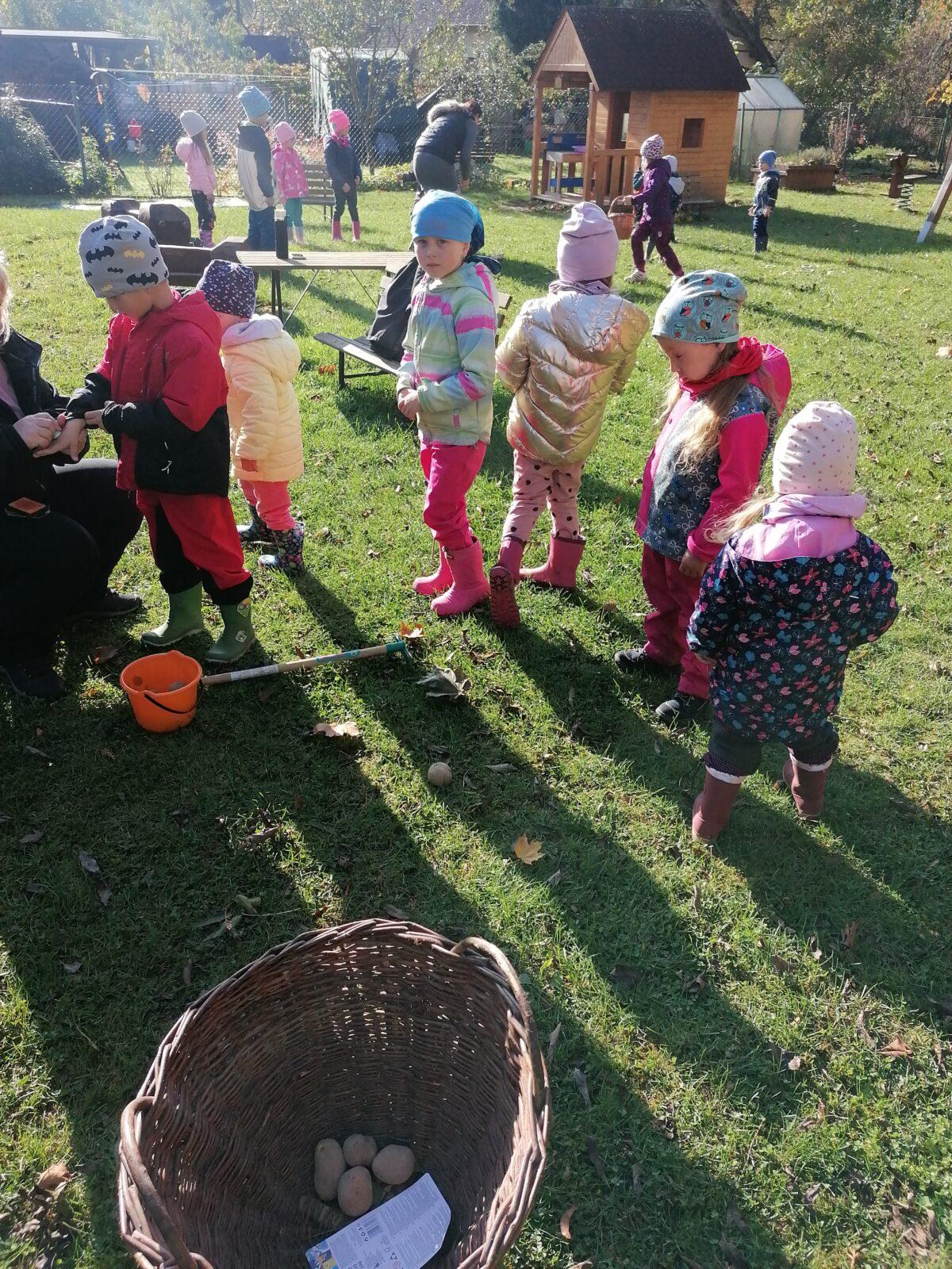 "Bramboriáda" :-) - 40