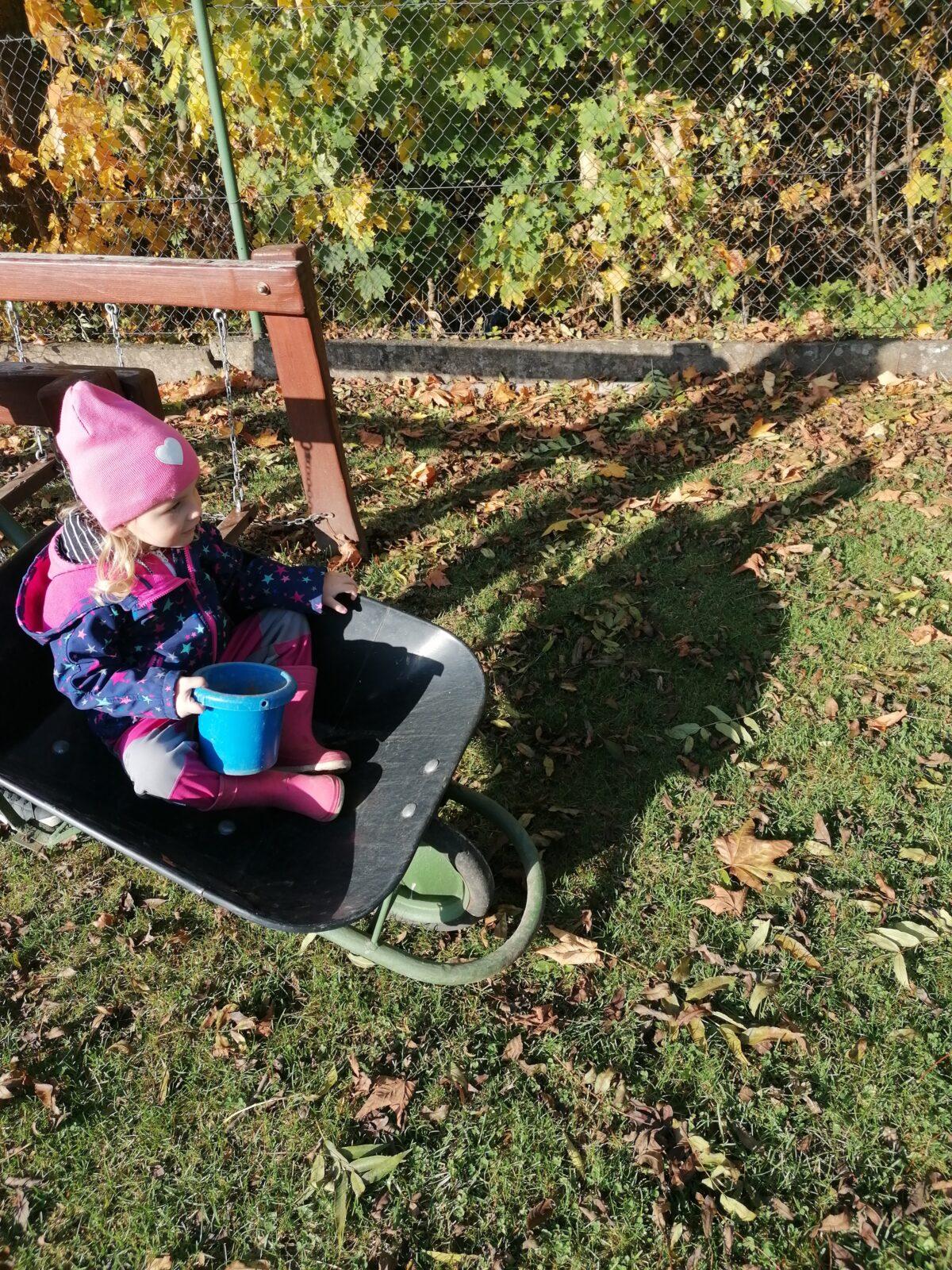 "Bramboriáda" :-) - 41