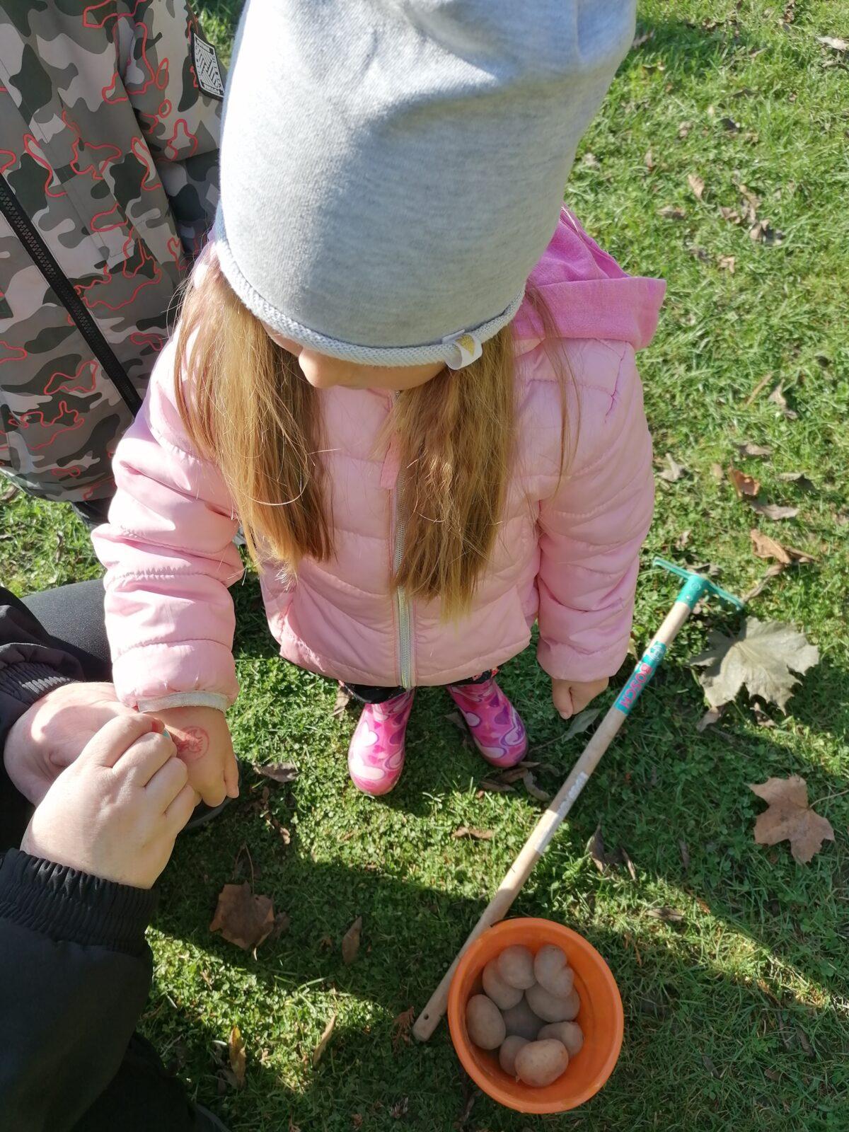 "Bramboriáda" :-) - 44