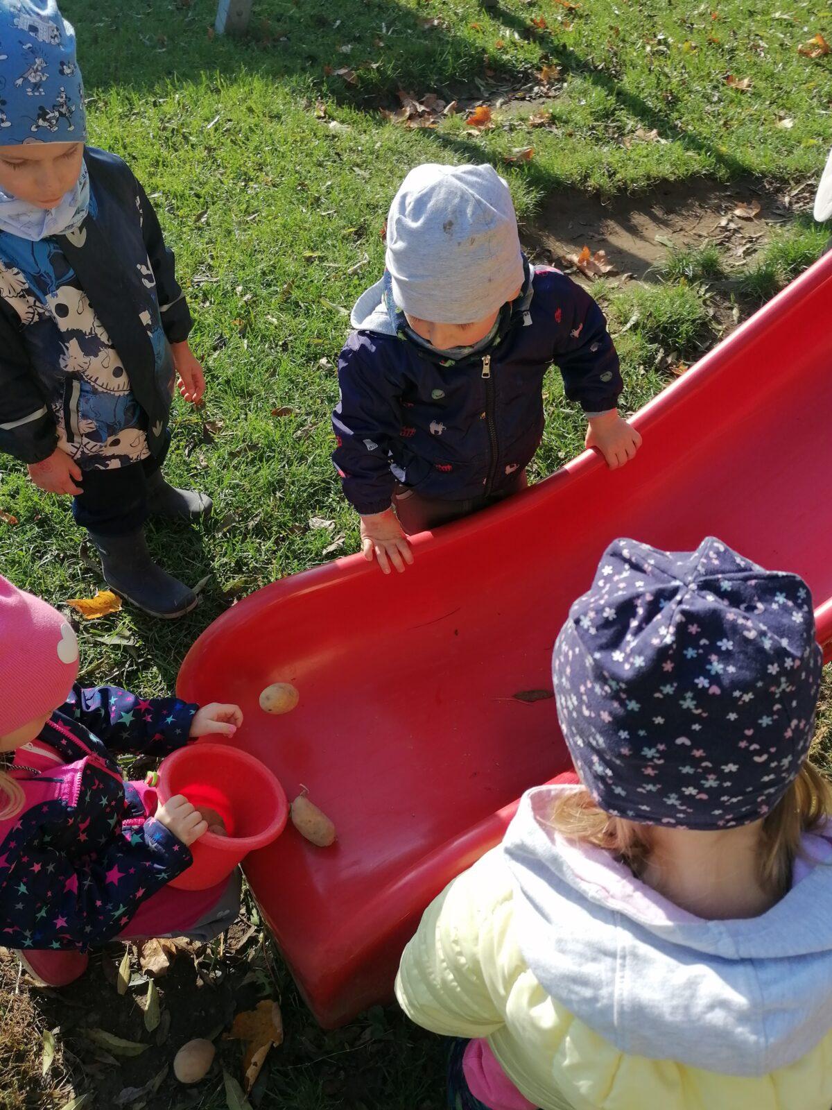 "Bramboriáda" :-) - 45